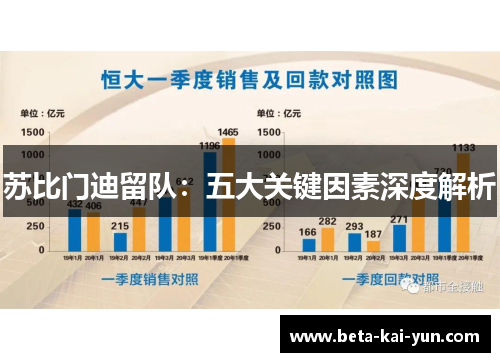 苏比门迪留队:五大关键因素深度解析 苏比门迪留队:五大关键因素深度解析
