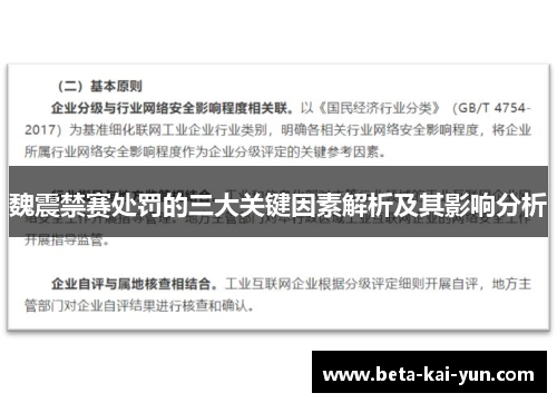 魏震禁赛处罚的三大关键因素解析及其影响分析